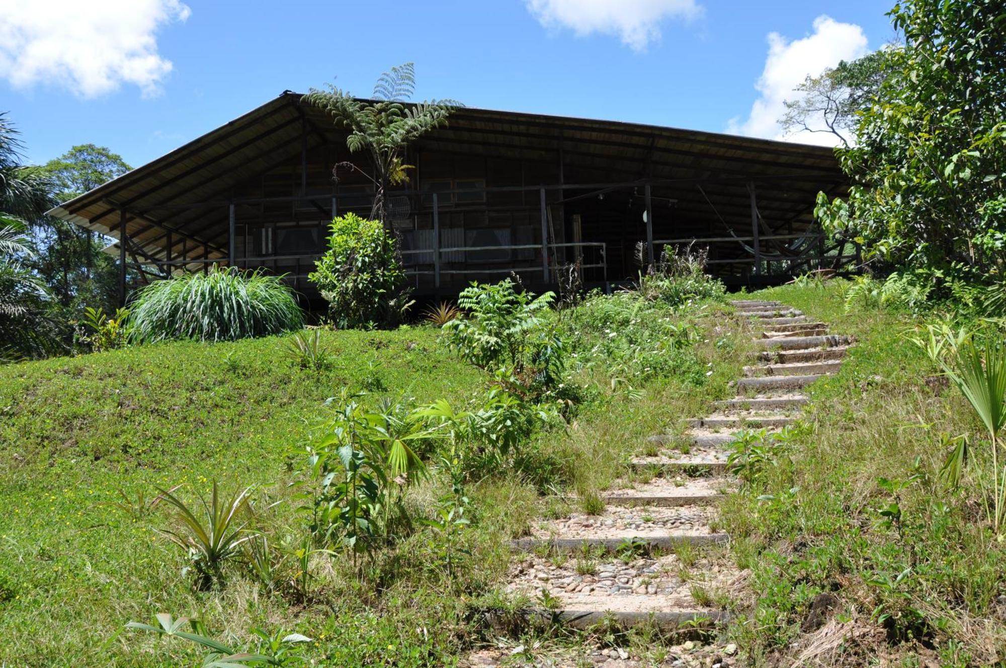 Hakuna Matata Amazon Lodge Archidona Екстериор снимка