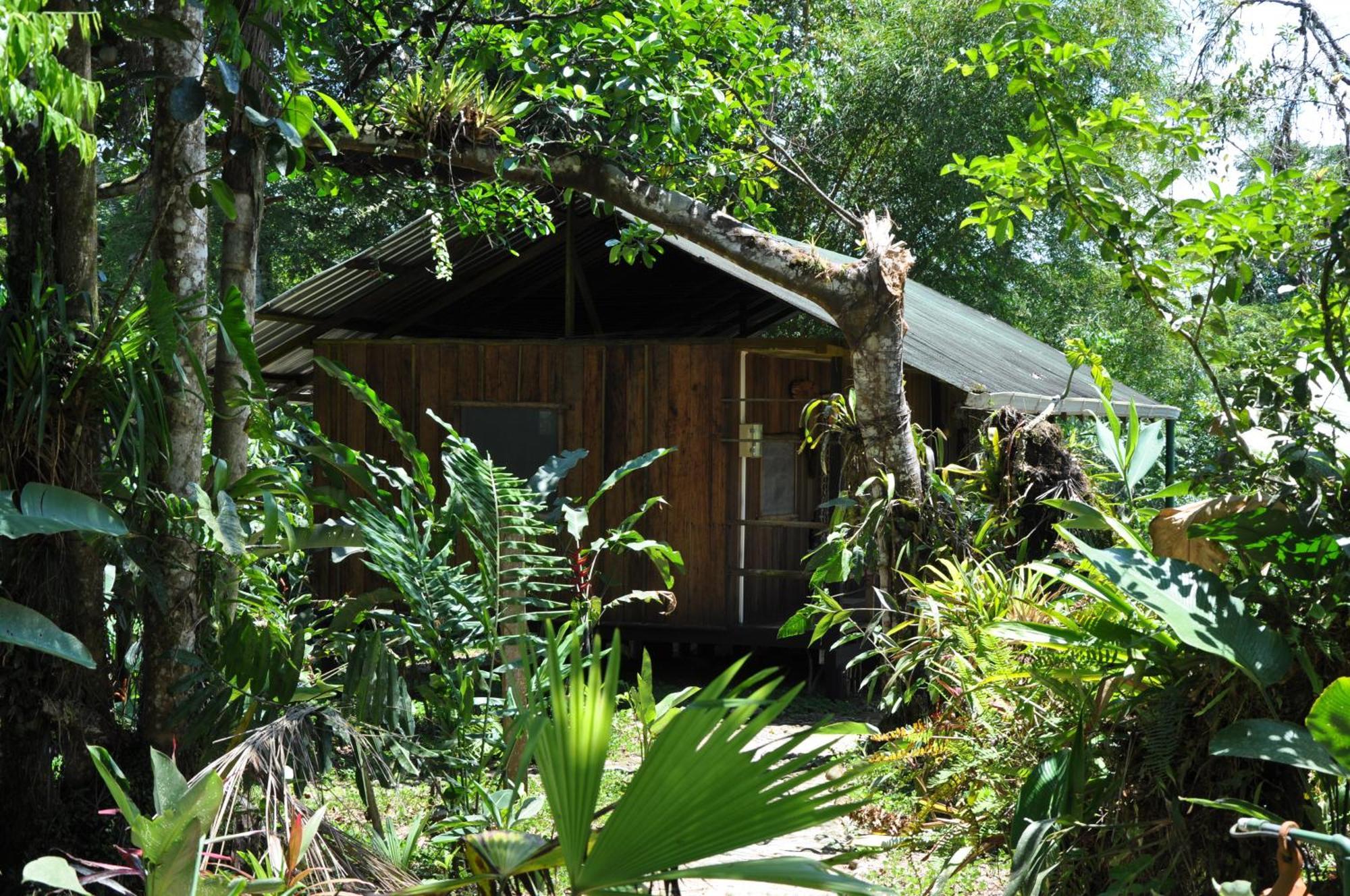 Hakuna Matata Amazon Lodge Archidona Екстериор снимка