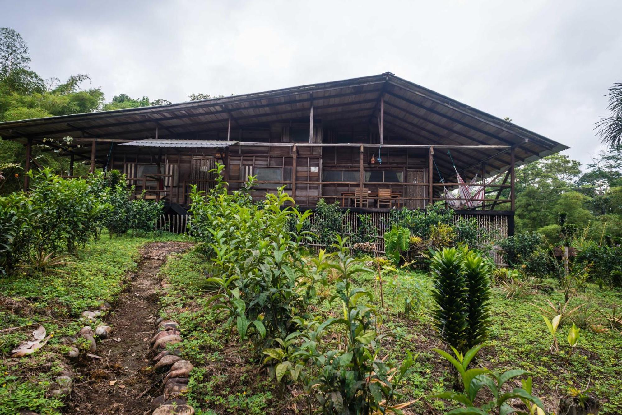 Hakuna Matata Amazon Lodge Archidona Стая снимка