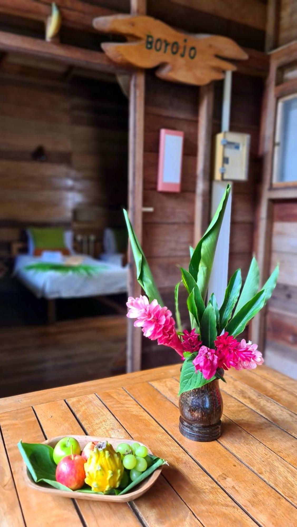 Hakuna Matata Amazon Lodge Archidona Екстериор снимка