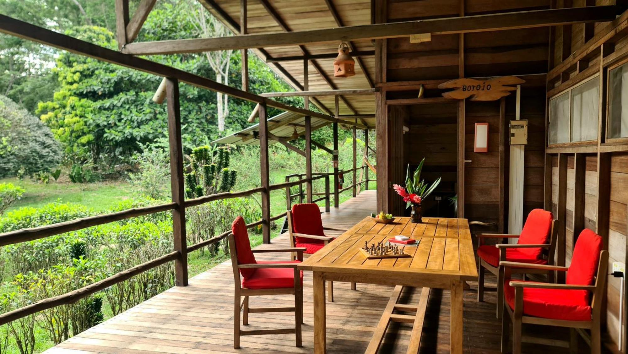 Hakuna Matata Amazon Lodge Archidona Екстериор снимка