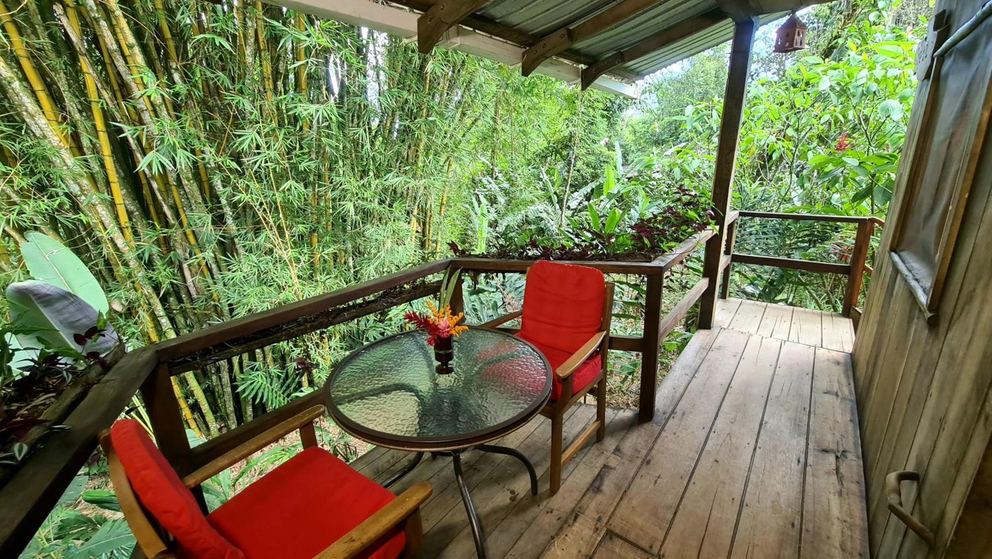 Hakuna Matata Amazon Lodge Archidona Екстериор снимка