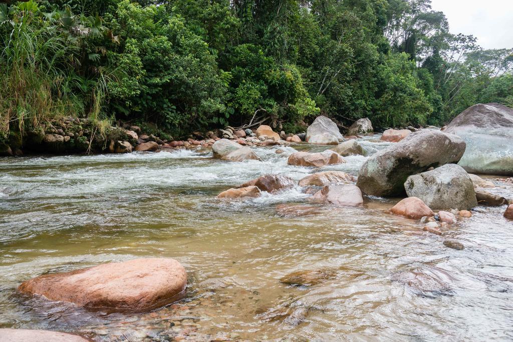 Hakuna Matata Amazon Lodge Archidona Екстериор снимка